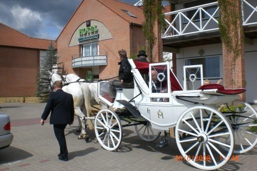 Greenline Hotel Hellfeld Neubrandenburg Dış mekan fotoğraf